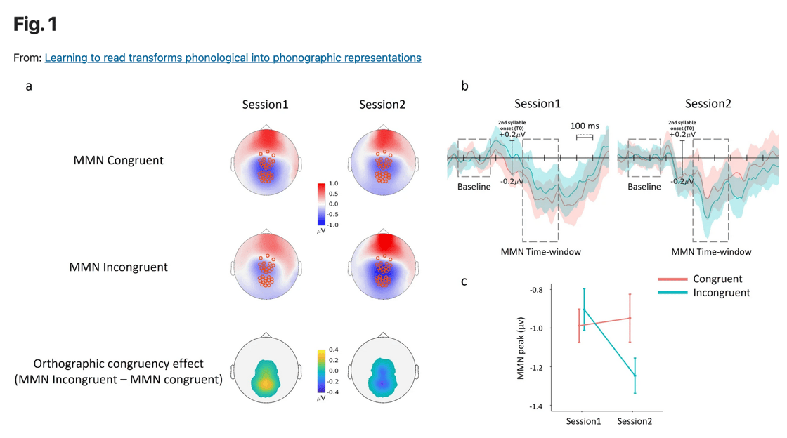 EGI learn to read 325
