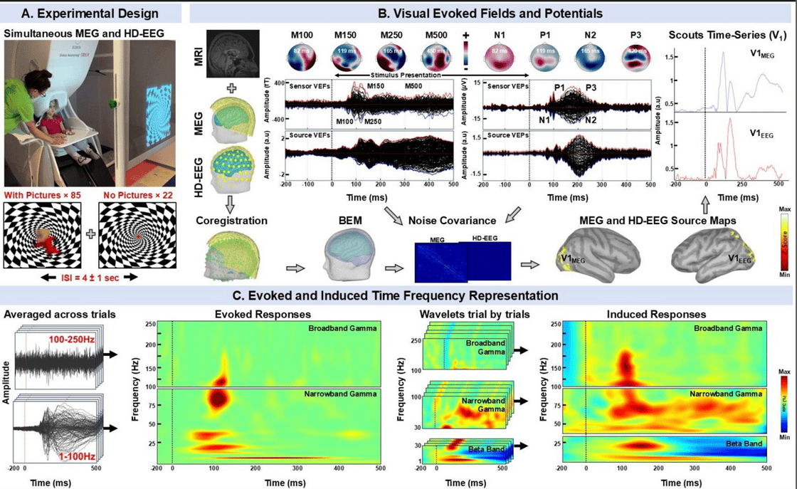 EGI study Christos25